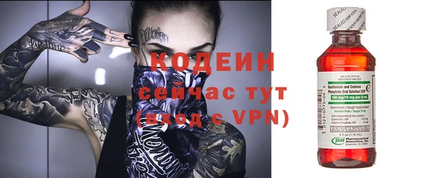 дурь Карпинск