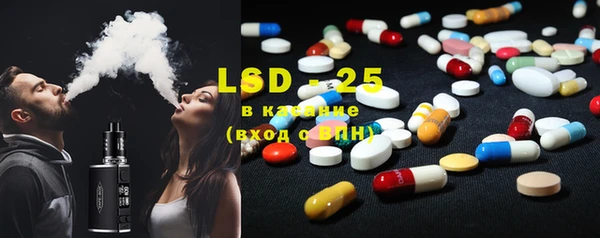 индика Касимов