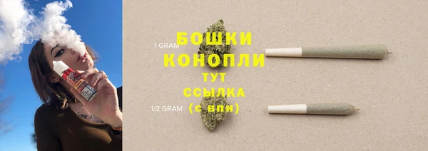 дурь Карпинск