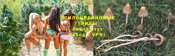 apvp Карталы