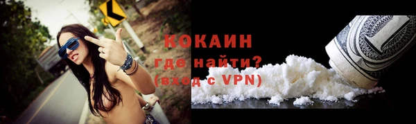 индика Касимов