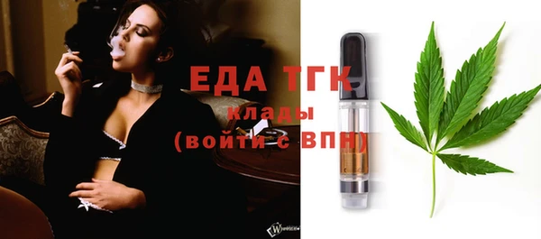 индика Касимов