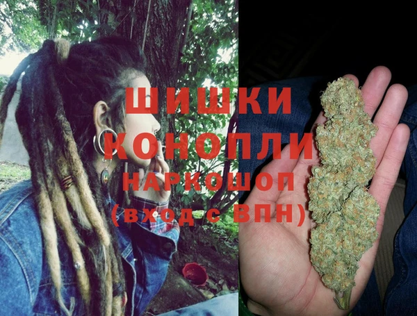 индика Касимов