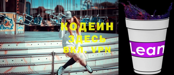 индика Касимов