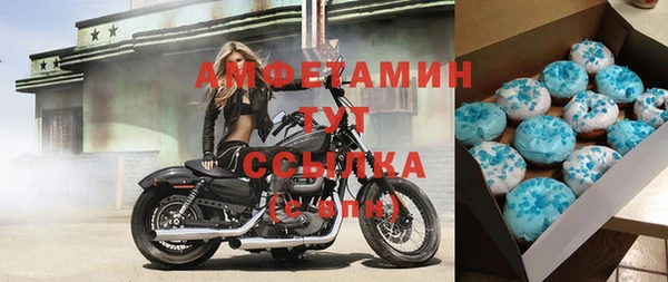 индика Касимов
