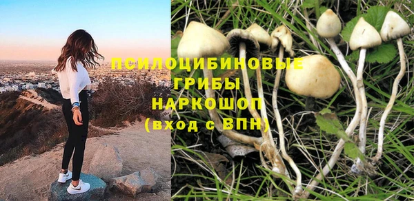 дурь Карпинск