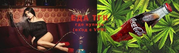 индика Касимов
