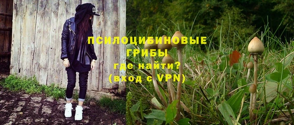 индика Касимов