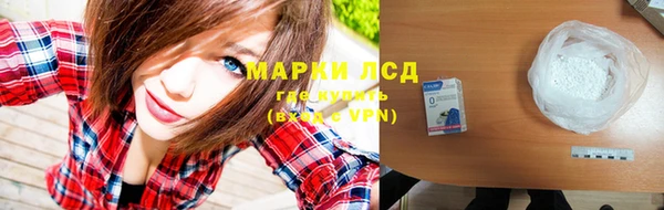 индика Касимов